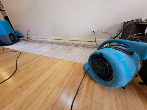 Professional Water Damage Repair technician working in Westhampton Beach, NY